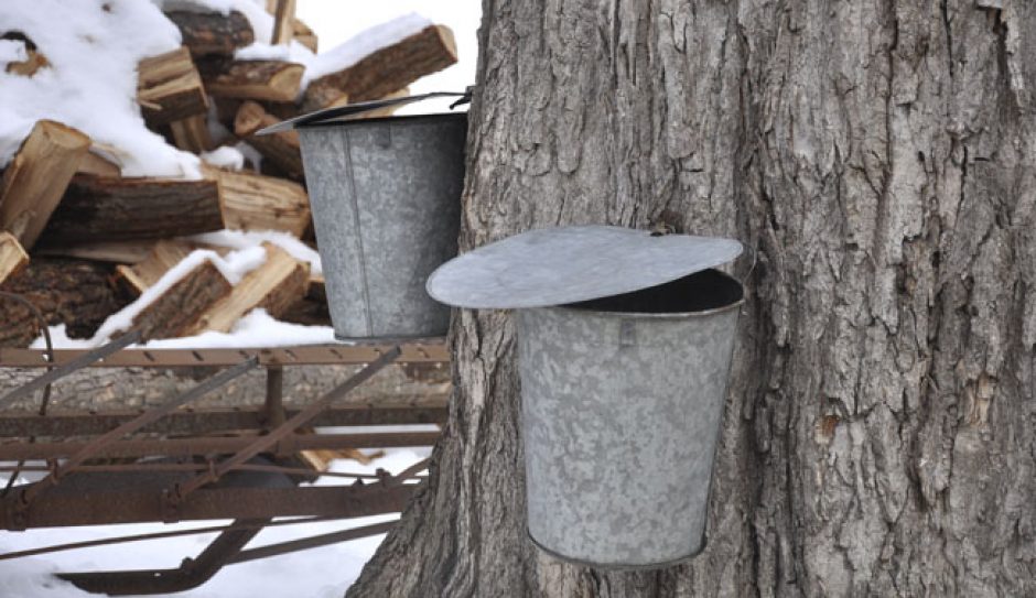 Town of Worcester, Vermont