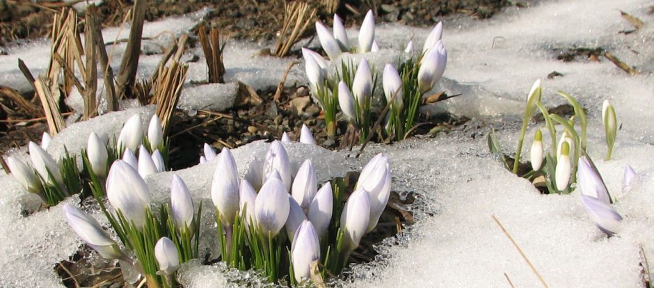 Town of Worcester, Vermont