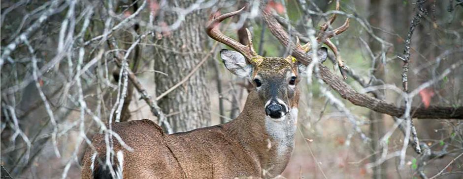 Town of Worcester, Vermont